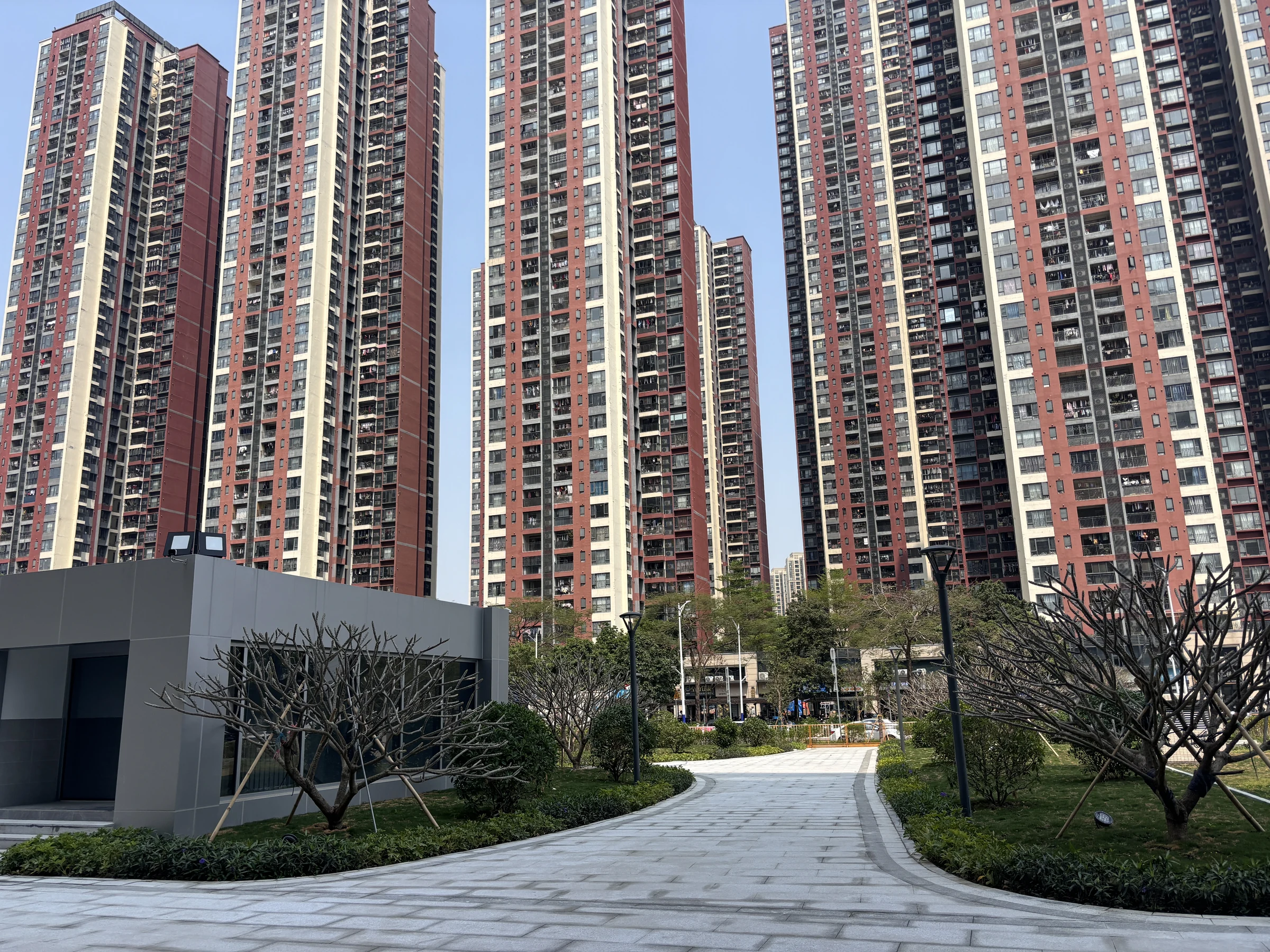 景兴二期庭院公共区域社区园路完工实景